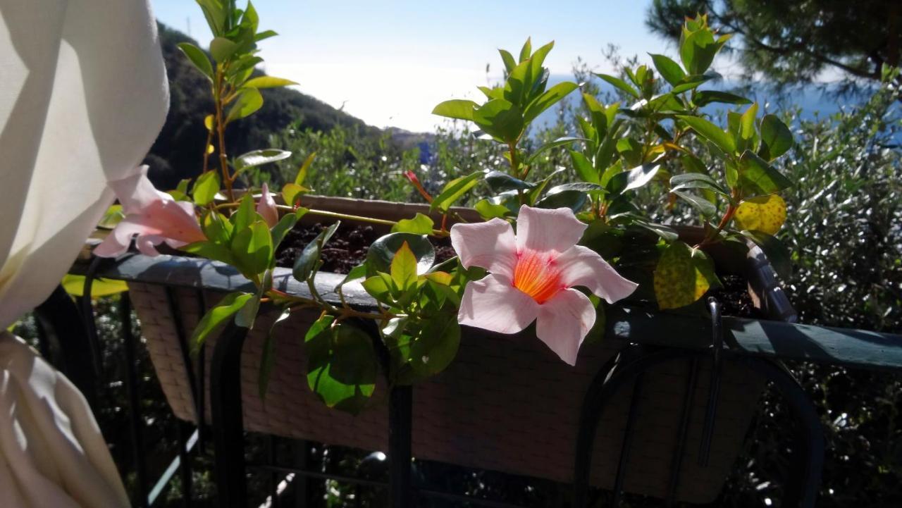 La Casa Dei Limoni Bed and Breakfast Γένοβα Εξωτερικό φωτογραφία