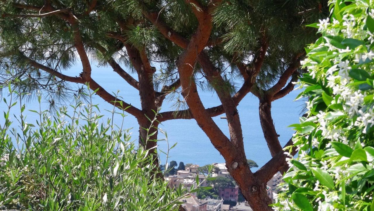 La Casa Dei Limoni Bed and Breakfast Γένοβα Εξωτερικό φωτογραφία